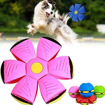 Pet Toy Flying Saucer